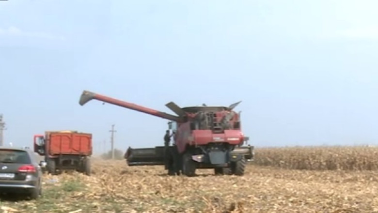 Credite pentru teren, garantate de stat. Fermierii se plang ca strainii au cumparat deja 8% din terenul tarii Imagine