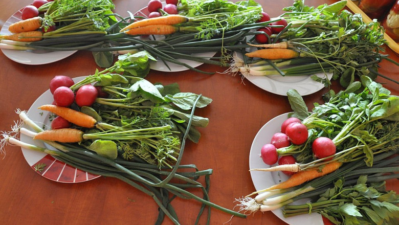 Creierul poate fi antrenat sa prefere o dieta sanatoasa Imagine