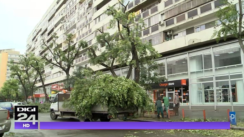 Crengile copacilor din zona Obor, taiate cu drujba. Firme din zona au cerut toaletarea dupa ce mai multe geamuri au fost sparte Imagine