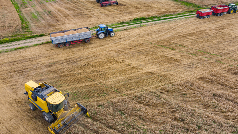 Creste valoarea creditelor garantate pentru fermieri: „de 3 ori subventia” devine „de 5 ori subventia” Imagine