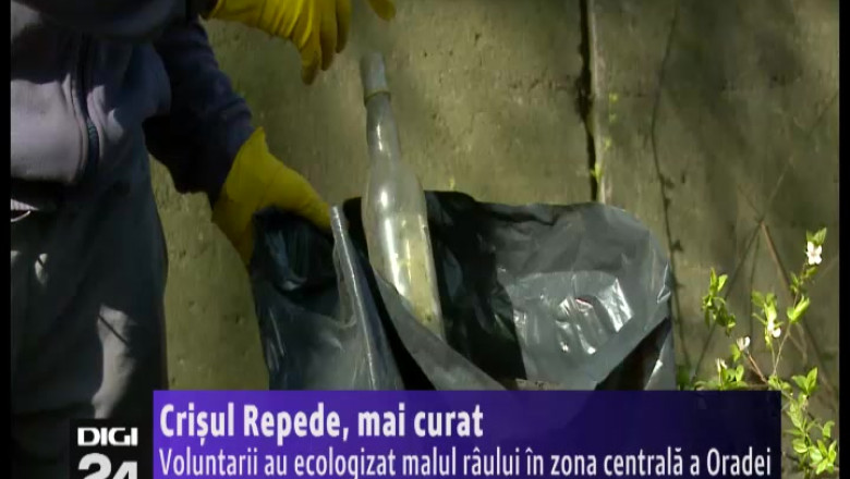 Crisul Repede, mai curat. Voluntarii au ecologizat malul raului, in zona centrala a Oradei Imagine