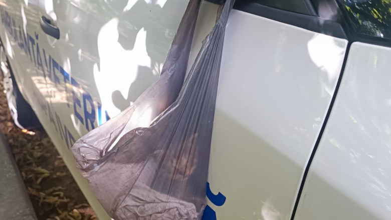 Cruzime la Galati. Un barbat de 74 de ani a abandonat un pisoi intr-o punga agatata de oglinda retrovizoare a unei ambulante Imagine