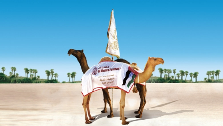 Cu camila la concursul de frumusete: Mii de animale se intrec in competitia din Emiratele Arabe Unite Imagine