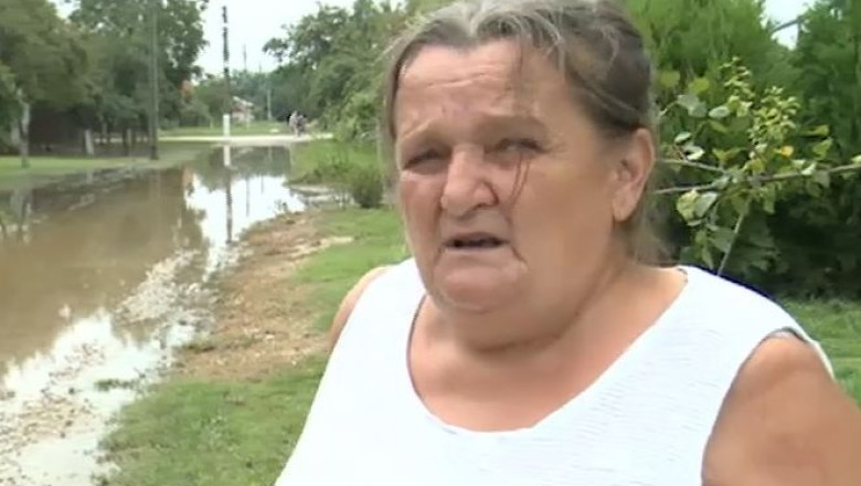 Cu frica inundatiilor de aproape 10 ani. Digul din Gataia a cedat in 2005 si a fost consolidat in proportie de 15% Imagine