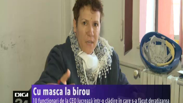 Cu masca la birou. 10 functionari de la CEO lucreaza intr-o cladire in care s-a facut deratizarea Imagine
