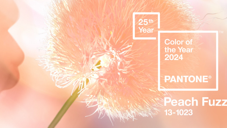 Culoarea anului 2024 este „Peach Fuzz”. Institutul Pantone explica simbolistica ei Imagine