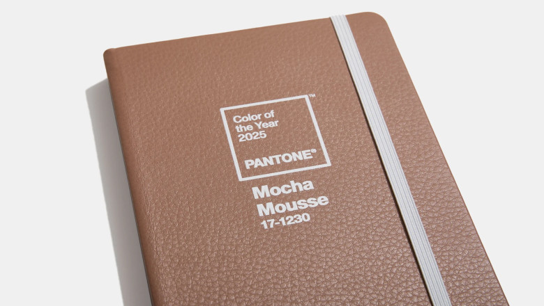 Culoarea anului 2025 este Mocha Mousse. Ce semnificatie are nuanta anului viitor, conform Institutului Pantone Imagine