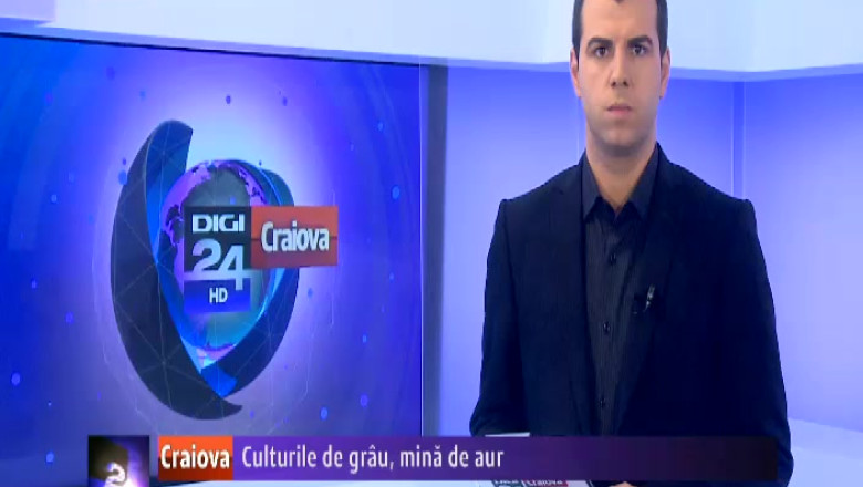 Culturile de grau, mina de aur Imagine