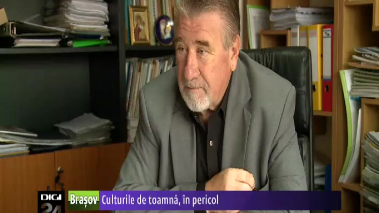 Culturile de toamna, in pericol Imagine