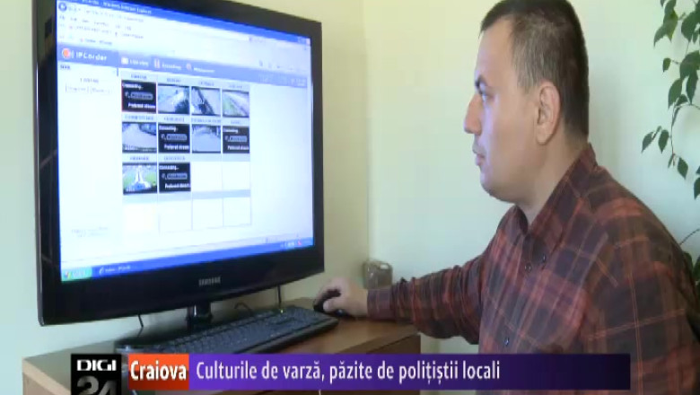 Culturile de varza dintr-o comuna gorjeana, pazite de politistii locali Imagine