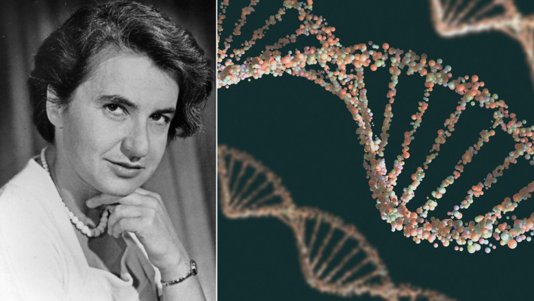 Cum a fost descoperit secretul vietii acum 70 de ani. Noi dezvaluiri despre misterul „pietrei filozofale” a biologiei moleculare Imagine