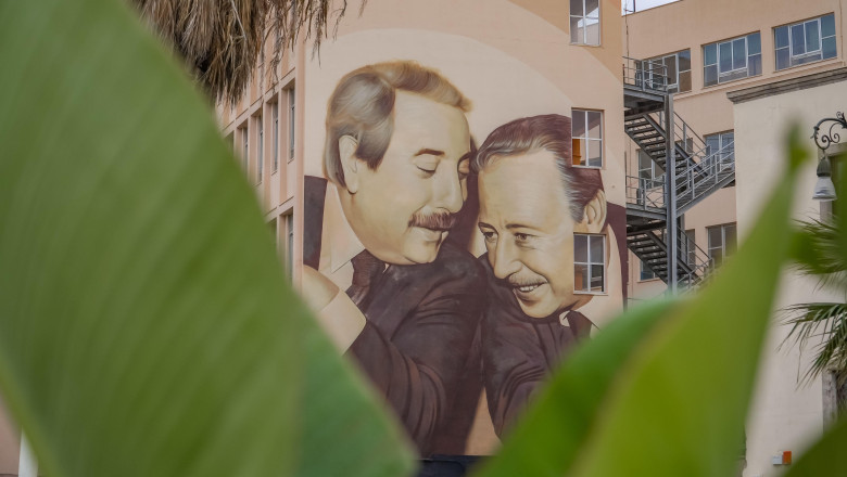 Cum a invatat mafia italiana sa gandeasca la scara mica frauda cu bani UE: daca vrei sa supravietuiesti, stai sub pragul de 150.000 € Imagine