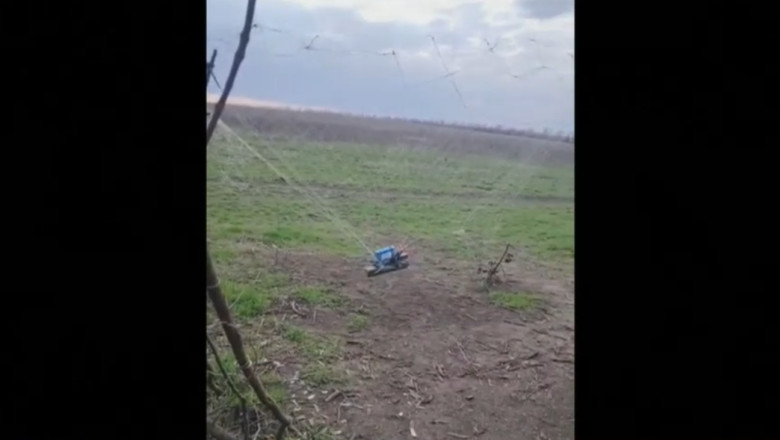 Cum ajuta cultivatorii de lalele din Olanda apararea ucrainenilor in fata dronelor. „Sunt foarte rezistente” Imagine