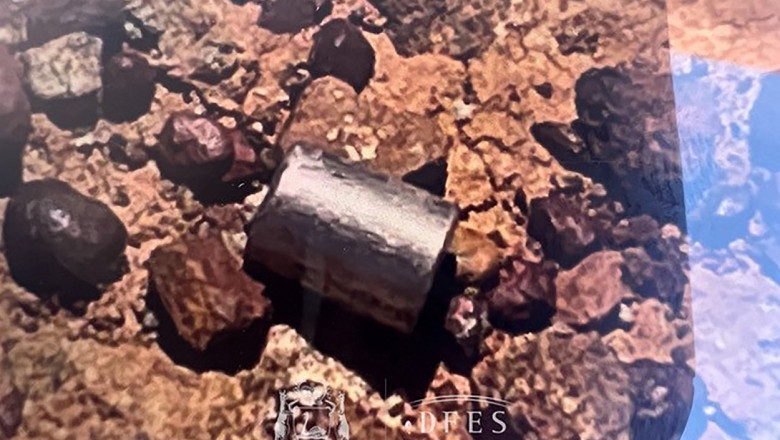 Cum arata capsula radioactiva de 8 milimetri pierduta pe drum, in Australia. A fost gasita dupa 8 zile cu ajutorul detectoarelor Imagine