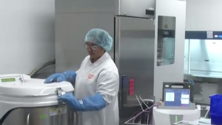 Cum arata „fabrica de fripturi”, locul unde se produce carnea de laborator Imagine