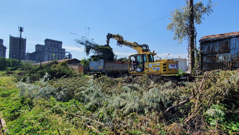 Cum arata liniile de cale ferata din Portul Constanta. Autoritatile au inceput curatarea balariilor Imagine