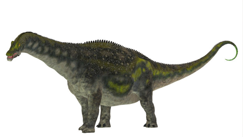 Cum au traversat dinozaurii din America de Sud in Australia. Un craniu de sauropod le-a dat indicii cercetatorilor Imagine
