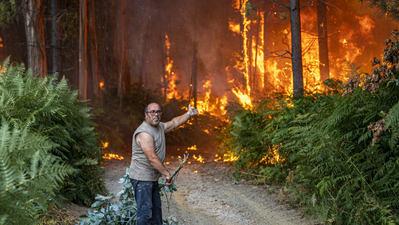 Cum lupta Europa cu incendiile de paduri. Care este abordarea corecta - stingere sau prevenire? (analiza DW) Imagine