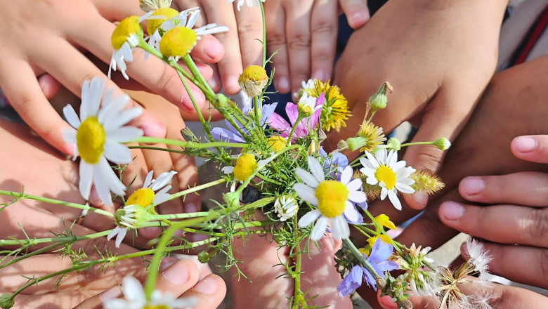 Cum putem trata un fenomen grav din Educatie. Invatatoare: „Cati copii, atatea povesti. Trebuie sa simti ceva, nu merge altfel” Imagine