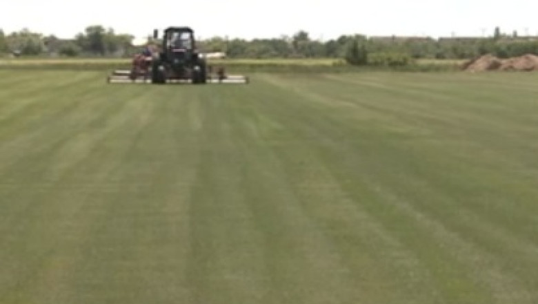 Cum se fac bani din iarba. Gazonul plantat in Timis este exportat in toata Europa Imagine