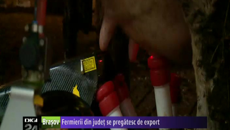 Cum se pregatesc fermierii din Brasov sa isi exporte animalele in China Imagine