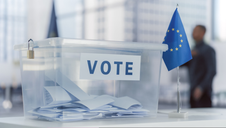 Cum sunt descurajati europenii sa voteze la alegeri in ultimul moment. Postarile bizare aparute pe internet in mai multe tari din UE Imagine