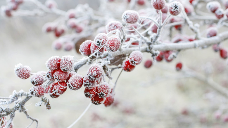 Cum va fi vremea in ianuarie. Prognoza meteo pentru urmatoarele patru saptamani Imagine