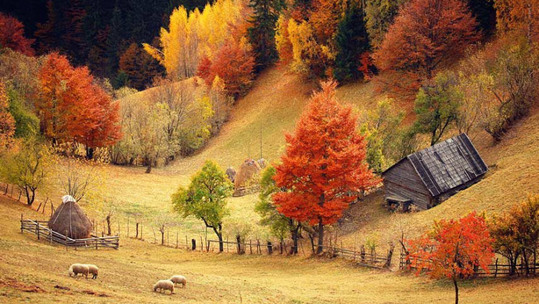 Cum va fi vremea in primele doua luni ale toamnei Imagine