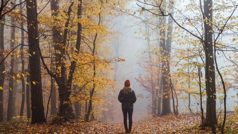 Cum va fi vremea pana la inceputul lunii decembrie. Prognoza ANM pentru urmatoarele patru saptamani Imagine