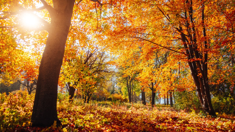 Cum va fi vremea pana la inceputul lunii noiembrie, pe regiuni. Estimarile meteorologilor pentru urmatoarele doua saptamani Imagine
