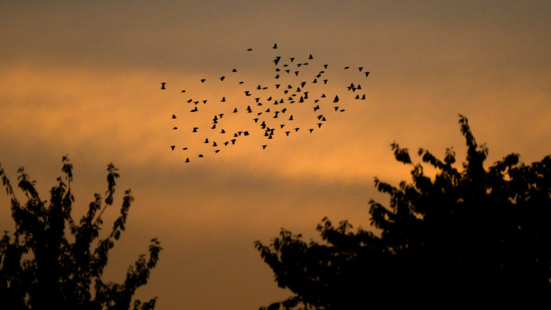 Cum va fi vremea pana la jumatatea lui septembrie, pe regiuni: cat va mai persista valul de caldura si cand apar ploile Imagine