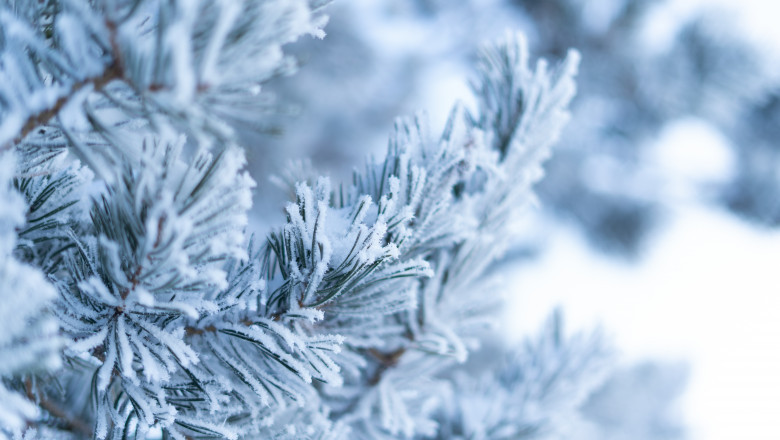 Cum va fi vremea pana pe 13 ianuarie. Prognoza meteo pentru urmatoarele patru saptamani Imagine