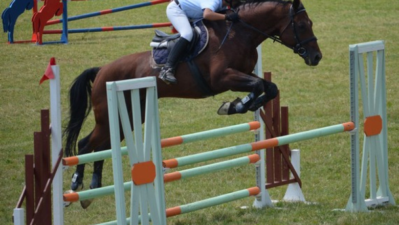 Cupa Campiei de Vest: Manejul Timisoara gazduieste, la acest sfarsit de saptamana, un regal hipic Imagine