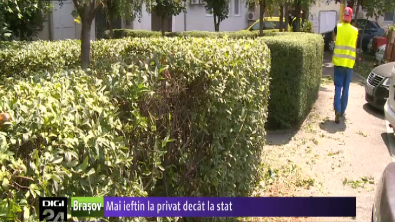 Curatenia, mai ieftina la privat decat la stat Imagine