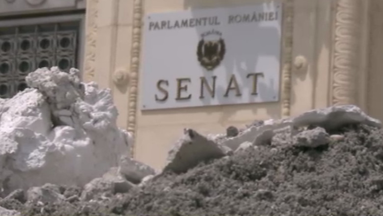 Curatenie la Senat. Reparatia scarii costa 160.000 de lei, adica 9.500 de lei pentru o treapta Imagine