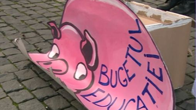 Cutia milei. Studentii clujeni au cerut bani pentru finantarea sistemului de invatamant Imagine