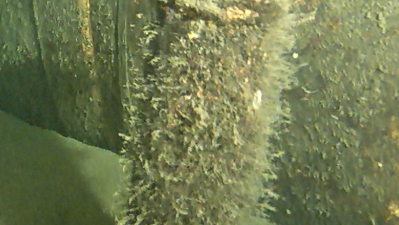 Danemarca a recuperat obiectul despre care Putin spunea ca ar fi avut un rol in sabotajul impotriva Nord Stream Imagine