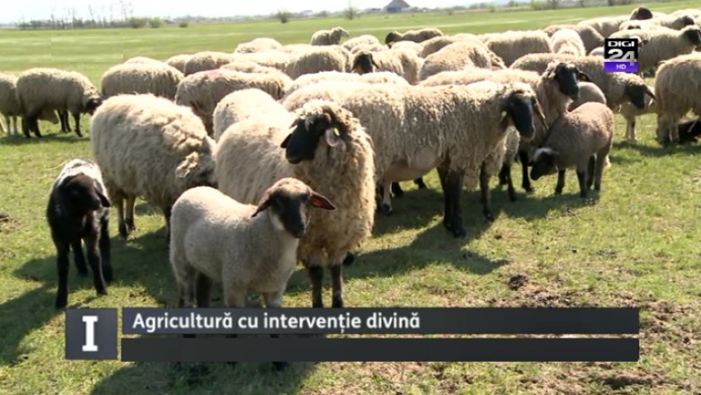 Daniel Constantin explica de ce s-au implicat preotii in consilierea privind fondurile europene Imagine