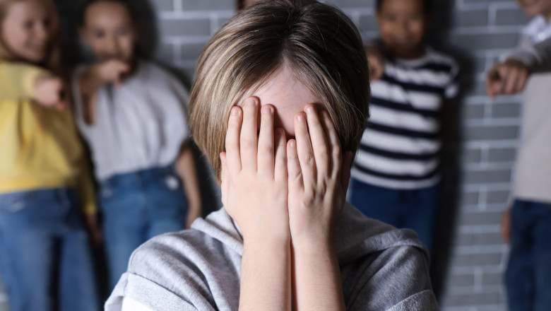 Daniel David: Camere video in clase si sesizari anonime, masuri-cheie pentru combaterea bullyingului in scoli Imagine