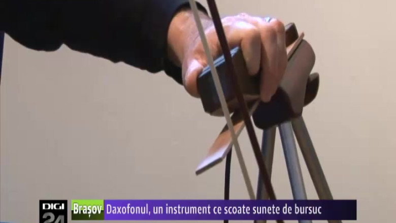 Daxofonul, un instrument ce scoate sunete de bursuc Imagine