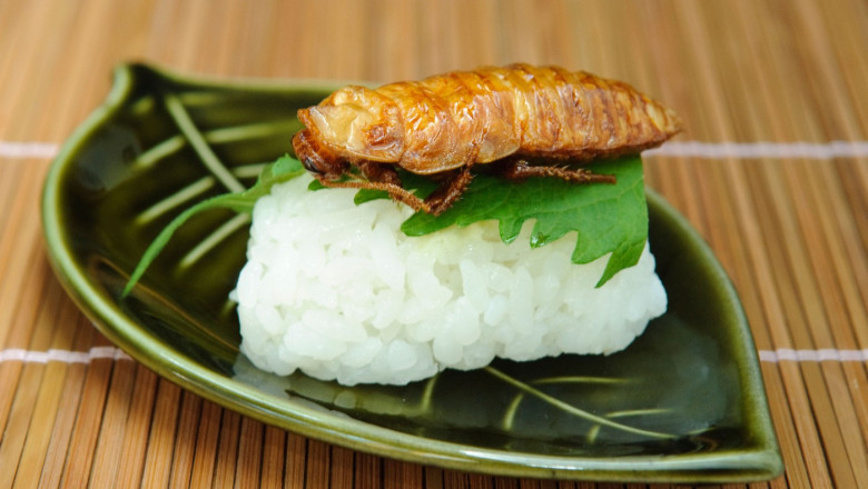 De ce esueaza planul de a inlocui carnea din mancare cu insecte pentru salvarea planetei (studiu) Imagine