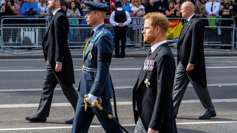 De ce Printul Harry nu are voie sa poarte uniforma militara la funeraliile Reginei Elisabeta a II-a, dar Printul William poate Imagine