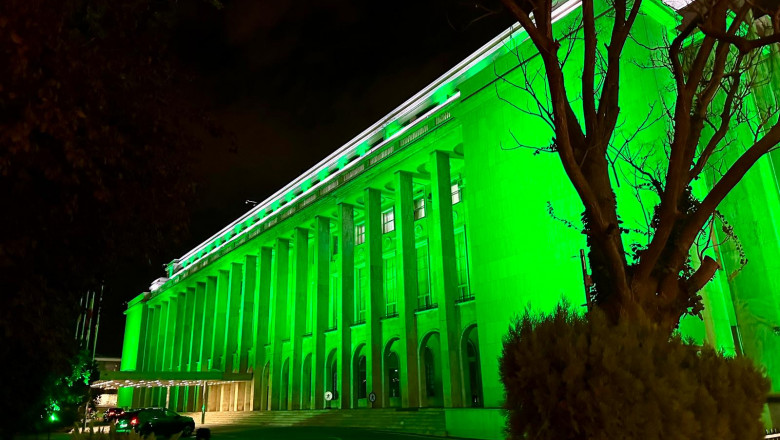 De ce sunt colorate cladirile Guvernului si Palatul Parlamentului in verde, marti seara Imagine