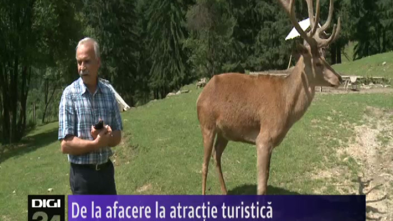 De la afacere la atractie turistica Imagine