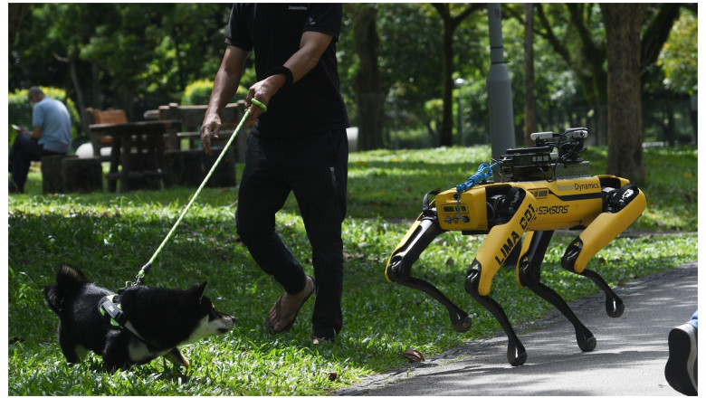 De la barmani la inspectori de santier: Robotii din Singapore iau locul angajatilor pentru a acoperi deficitul de forta de munca Imagine