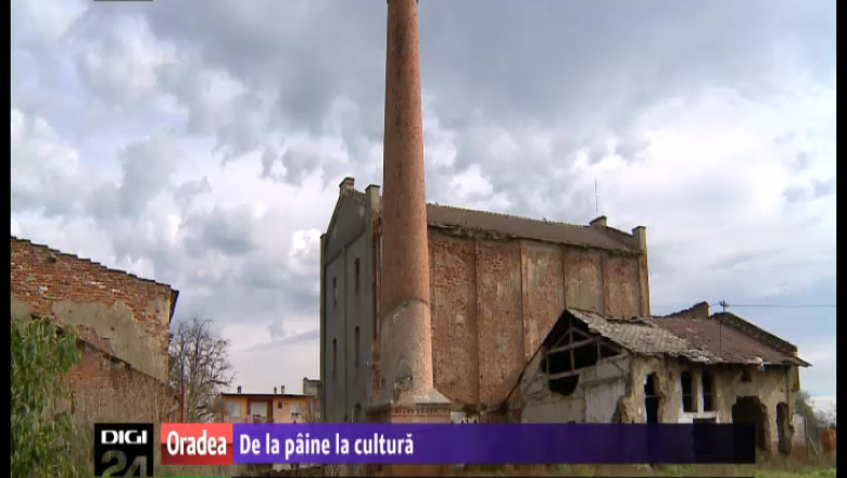 De la paine la cultura. Abandonata de 20 de ani, moara din Valea lui Mihai va fi transformata in centru cultural Imagine