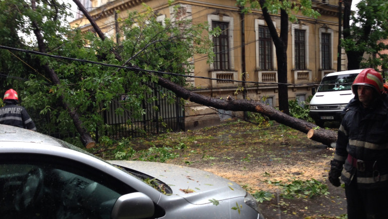 DE LA TELESPECTATORI. Vantul puternic a rupt copacii in Capitala Imagine