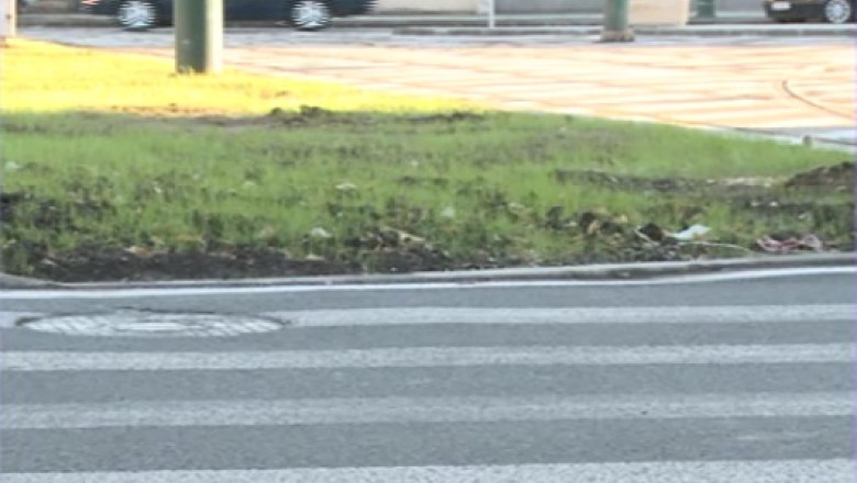 De pe zebra, pe iarba. O trece de pietoni din Timisoara duce catre o zona verde Imagine