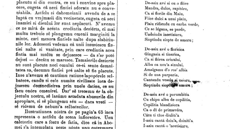 Debut eminescian furat. De la Biblioteca Judeteana din Oradea a disparut foaia din revista Familia cu poezia "De-as avea" Imagine