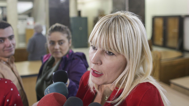 Decizia de revizuire a pedepsei Elenei Udrea in dosarul Gala Bute, amanata din nou. Cand va fi urmatorul termen Imagine